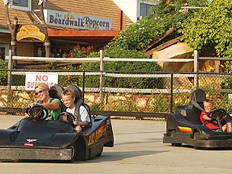 viking-golf-go-karts-foto1