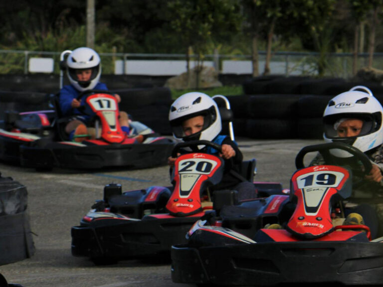 Pro-Karts-foto-1