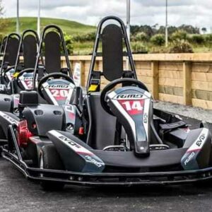 Te Kauwhata: Karting at Hampton Downs (10 min)